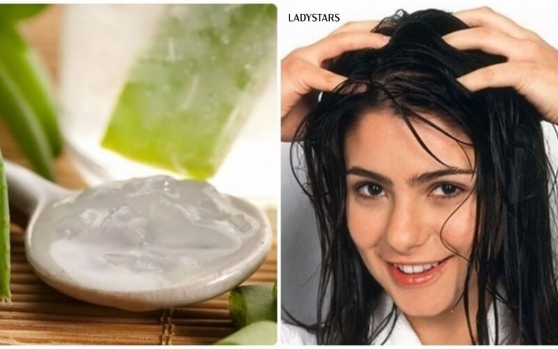 Làm mượt tóc bằng nha đam bằng sử dụng nước vo gạo lên men