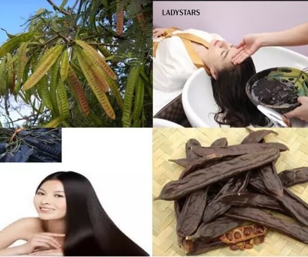 Làm mượt tóc bằng bồ kết và dầu dừa